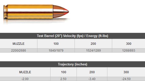 HORNADY 450 BUSHMASTER 250GR